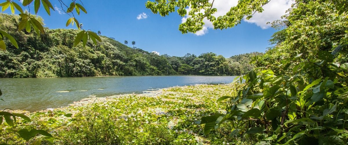 CYBER WEEK 2023 - SAMANÃ